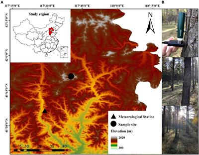 Climatic influences on intra-annual stem variation of Larix principis-rupprechtii in a semi-arid region